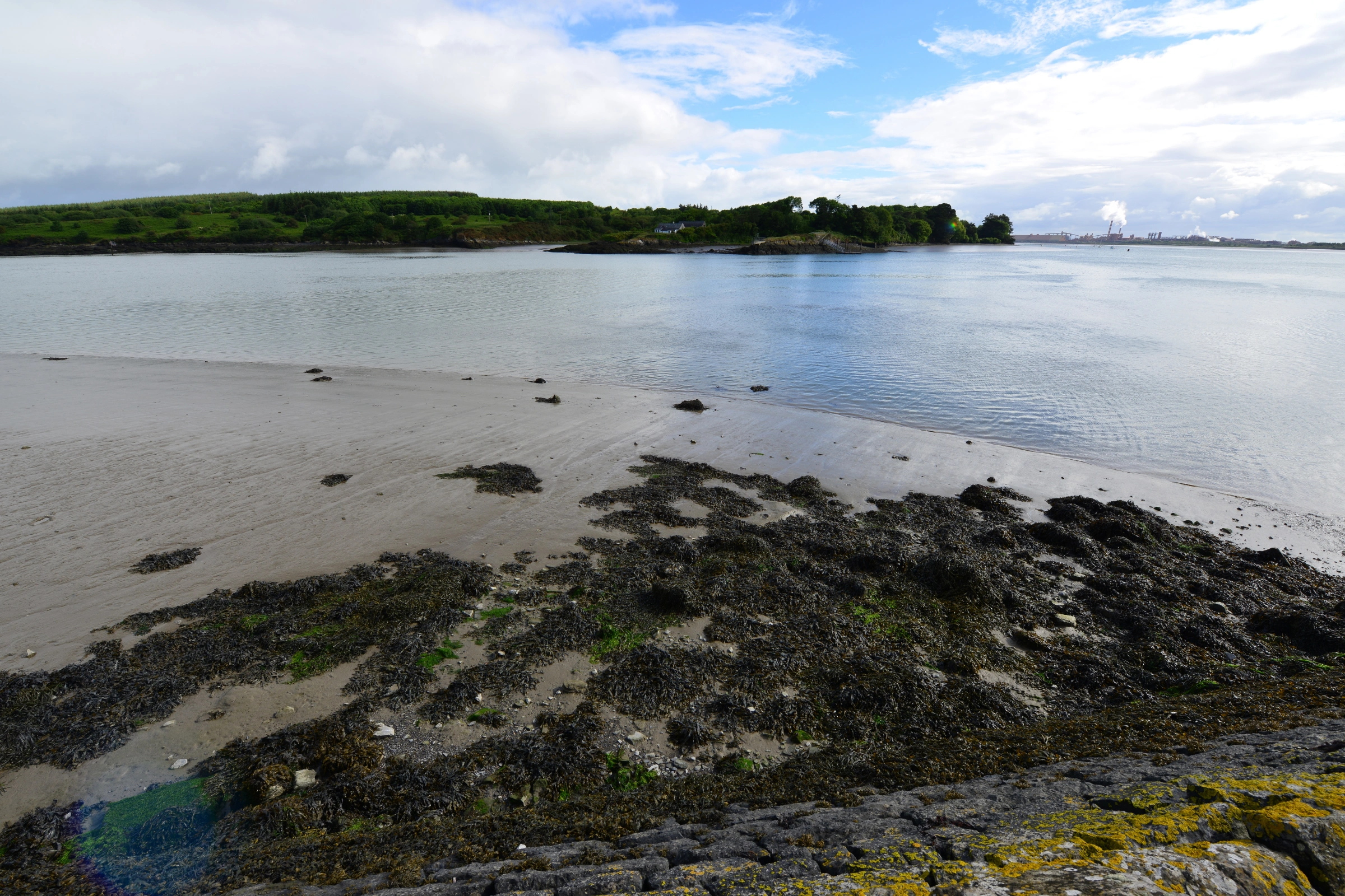 Foynes[1].webp